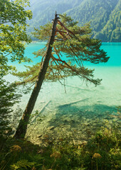 Nordufer vom Weißensee, Kärnten, Österreich