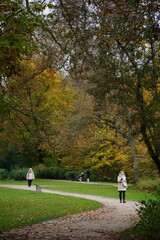 Vibrant and tranquil nature in Denmark
