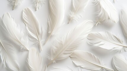 A mesmerizing set of delicate white feathers, isolated on a pristine white background, evoking an ethereal sense of beauty