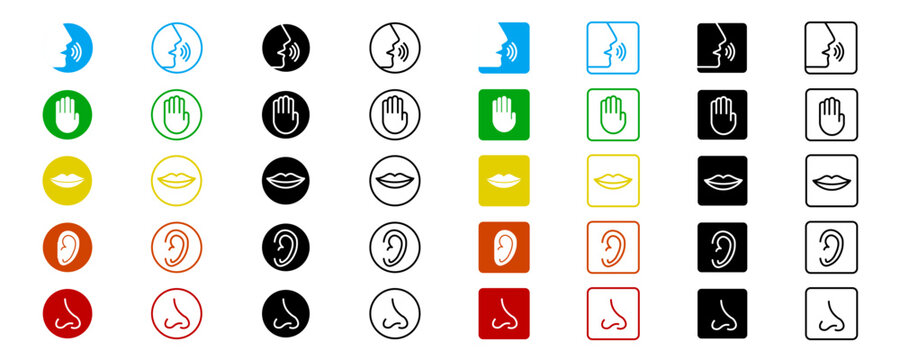 Mark Organ senses sign or sign. Isolated vector signs. Set of human body parts icons. Flat vector collection of sensory organs icons. Eps10