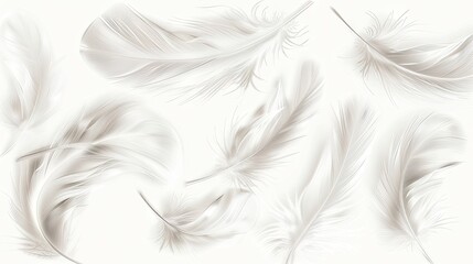 Obraz premium A mesmerizing set of delicate white feathers, isolated on a pristine white background, evoking an ethereal sense of beauty