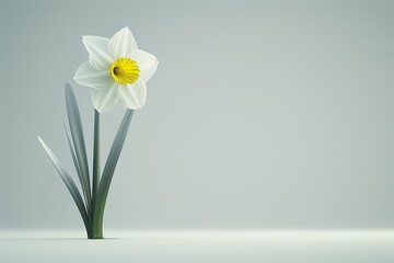 A minimalistic representation of a daffodil, focusing on its geometric form and symmetry, set against a plain, light gray background.