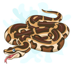 Cartoon burmese python on white background
