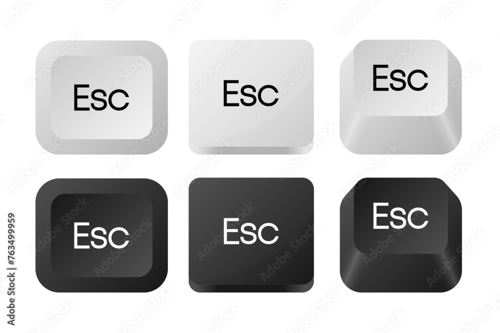 Poster esc keyboard button icon of different types. computer button isolated on white. vector illustration.