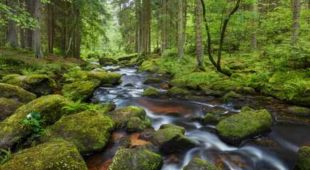 Höllfall, Waldviertel, Niederösterreich, Österreich © Rainer Mirau