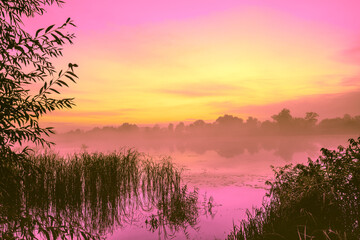 Magic sunrise over the lake. Misty early morning. Serenity lake - 763506537