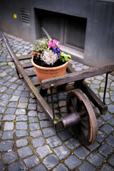 Brouette d&eacute;corative
