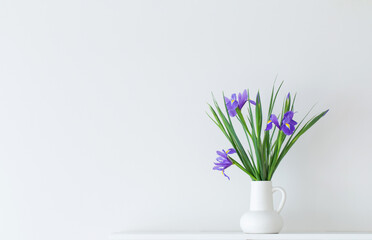 irises in white jug on white background