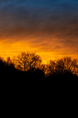 sunset, sky, sun, tree, clouds, nature, landscape, trees, evening, silhouette, dusk, orange, red, cloud, sunrise, forest, night, horizon, beautiful, summer, yellow