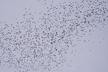 water, rain, drop, blue, abstract, glass, drops, texture, liquid, wet, window, aqua, bubble, clear, pattern, bubbles, surface, sky, droplet, condensation, transparent, macro, raindrop, clean, fresh