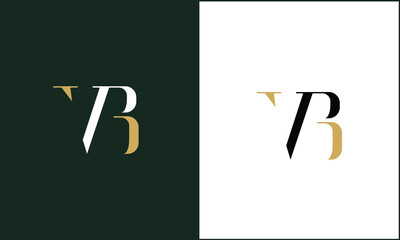 VB, BV, Abstract Letters Logo Monogram