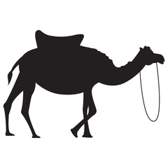 Camel Ramadhan Silhouette