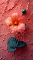 Vibrant Bloom: A Close-Up of a Pink Flower Against a Textured Red Wall