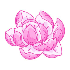 Illustration of lily flower. Beautiful decorative plant. - 763513359