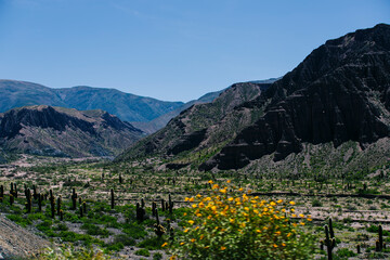 Naklejka na ściany i meble scenic view of the Andes mountain range in the Argentine province of Jujuy