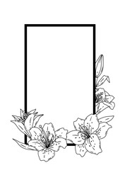 Frame with lilies. Beautiful decorative plants.