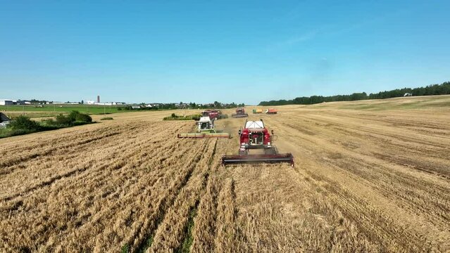 Combine harvester on grain harvest. Wheat harvesting in field. Wheat planting. Wheat and corn markets in crisis world&rsquo;s breadbasket. Farm field with Rye. Green Harvester on harvesting in field