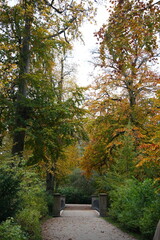 Naklejka premium Vibrant and tranquil nature in Denmark