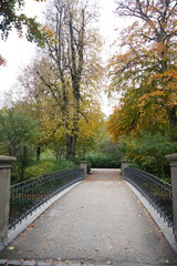 Vibrant and tranquil nature in Denmark