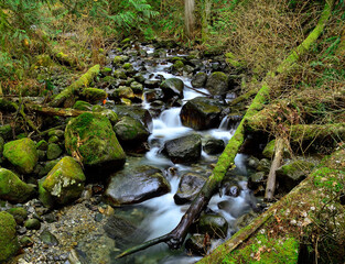 Enchanted Creek