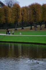 Obraz premium Vibrant and tranquil nature in Denmark