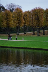 Obraz premium Vibrant and tranquil nature in Denmark