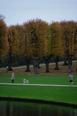 Obraz premium Vibrant and tranquil nature in Denmark