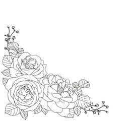 Abstract floral background. Coloring page for adults and children.