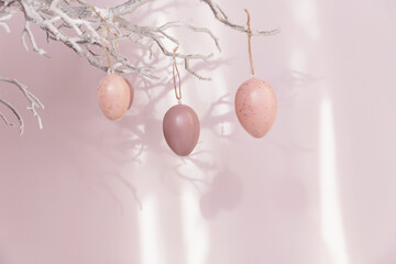 Tree branch with Easter eggs on pink background with sunlight and shadows