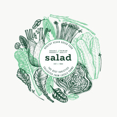 Green Vegetable Design Template. Vector Hand Drawn Healthy Leaf Salad Banner. Vintage Style Menu Illustration. - 763522546