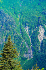 Waterfall flowing through a pine forest seen from Mount Roberts above Juneau, the capital city of Alaska, USA
