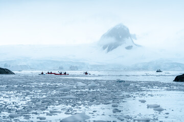 iceberg in polar regions