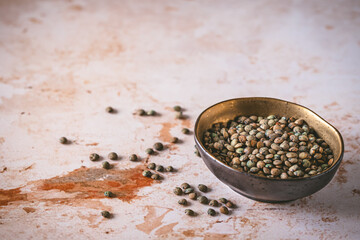 French puy lentils in a small bowl on light background, copy space