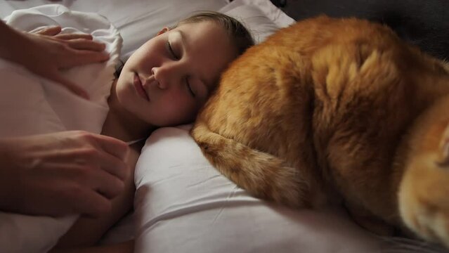 A woman hands cover her sleeping little daughter with a white soft blanket and the mother wishes pleasant dreams to the girl and the ginger cat lying on the pillow. Child sleeping with a pet