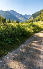 Javorova dolina valley with peaks above in Tatra mountains in Slovakia © honza28683
