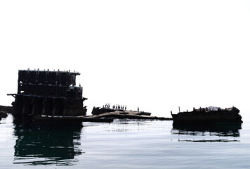 Socotra cormorants resting on submerged tugboat shipwreck  in the eastern coast of Bahrain sea.