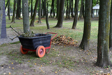 Autumn. Autumn work. Cleaning up fallen leaves, collecting them in a pile and loading them into a...