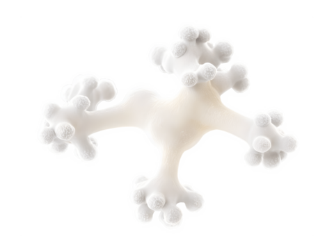 Molecule od candida auris isolated on white