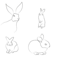 set of rabbits png