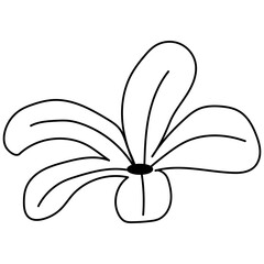 Handdrawn Abstract Flower