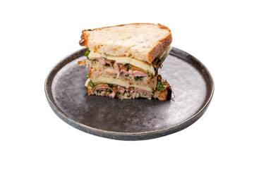 sandwich with meat on a plate, transparent background, cut out