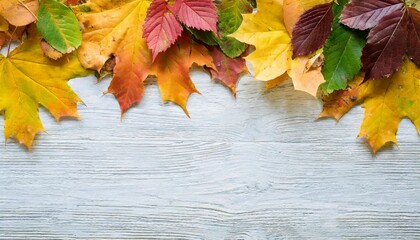 Naklejka na ściany i meble autumn leaves background with