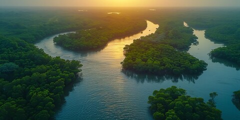 A breathtaking aerial view of a meandering river cutting through a dense, green rainforest canopy.
