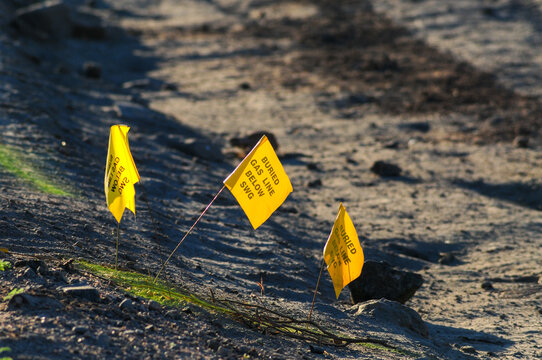 Three bright yellow "Buried Gas Line Below" marking flags stand out in the sunrise light, planted in a dirt lot adjacent to a construction site in Pinal County, Arizona