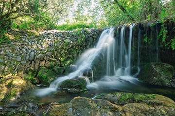 Naklejka na ściany i meble Enchanting Forest Waterfall