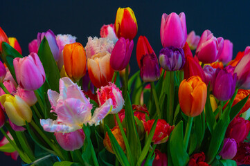 Tulipany ozdobne różne światowe odmiany w wazonowym wiosennym bukiecie.