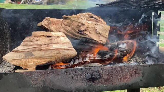 Fogata m&aacute;gica: Historias que cobran vida junto al fuego