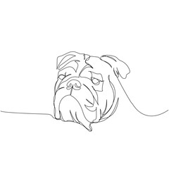 English Bulldog, dog breed, companion dog one line art. Continuous line drawing of friend, dog, doggy, friendship, care, pet, animal, family, canine.