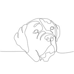 Cane Corso Italian dog breed, companion dog, guard dog, service dog one line art. Continuous line drawing of friend, dog, doggy, friendship, care, pet, animal, family, canine.