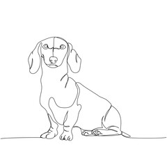 Fototapeta premium Dachshund short-haired, Teckel, dog breed, companion dog, hunting dog one line art. Continuous line drawing of friend, dog, doggy, friendship, care, pet, animal, family, canine.